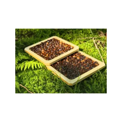 Panel sensoryczny Kawosz - 3