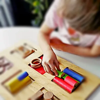 Montessori Wooden Geometric Puzzle Board - Sorting & Matching Toy